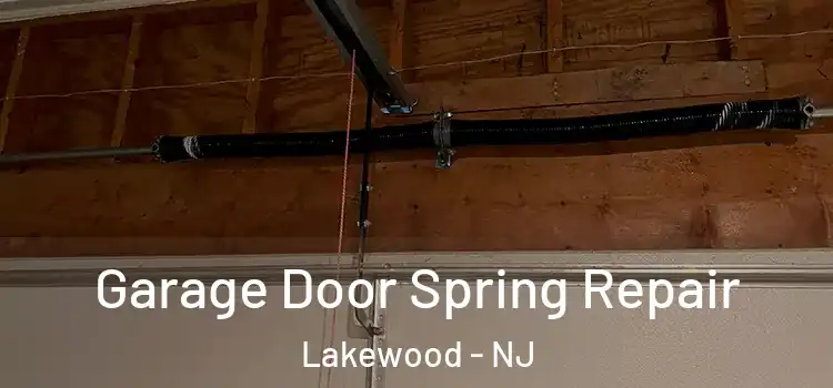  Garage Door Spring Repair Lakewood - NJ